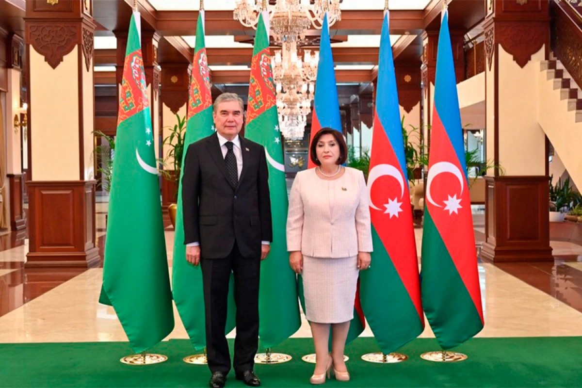 Milli Məclisin sədri Qurbanqulu Berdiməhəmmədov ilə görüşdü