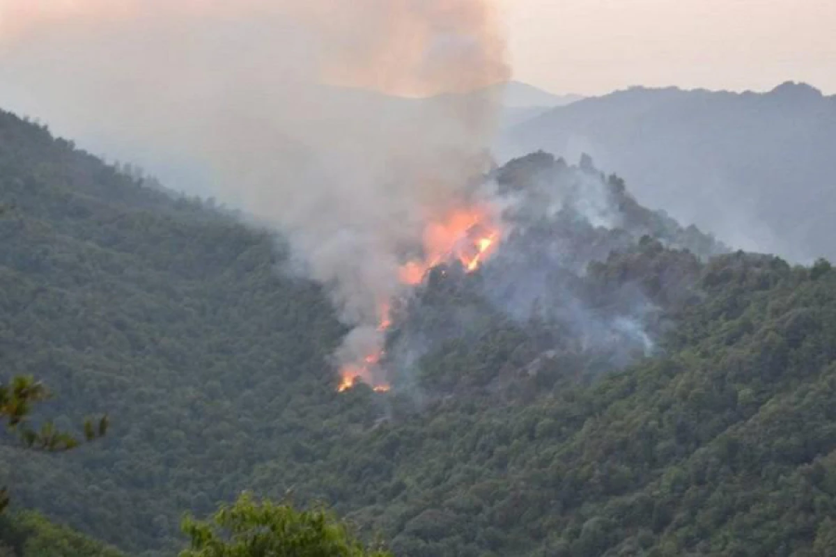 Laçında dağlıq ərazidə yanğın başladı