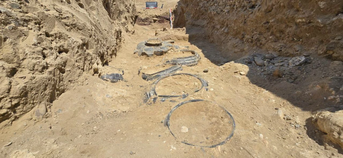 3800 il yaşı olan döyüşçü kurqanı aşkarlandı — 2