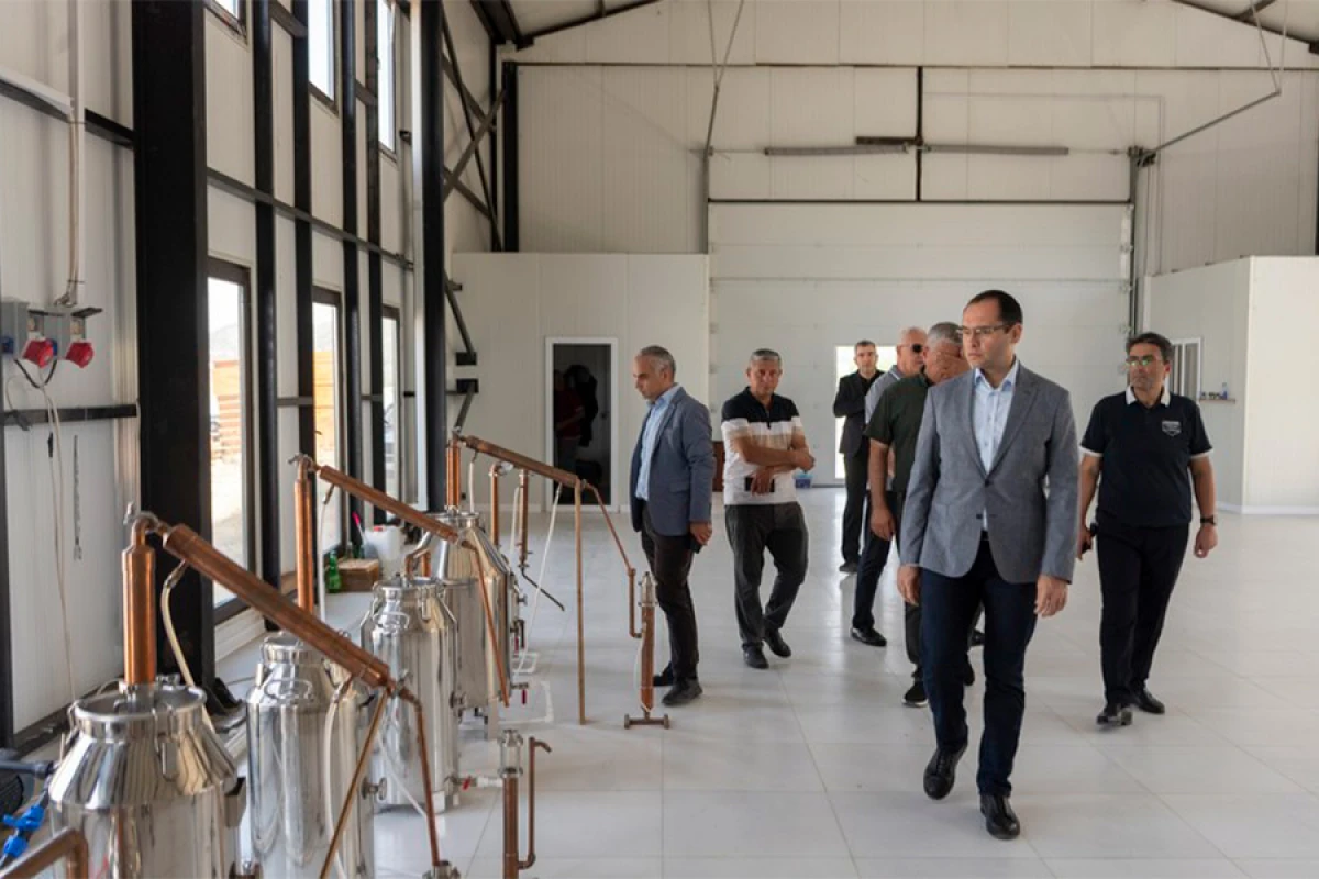 Məcnun Məmmədov Laçında təsərrüfatlara baş çəkdi