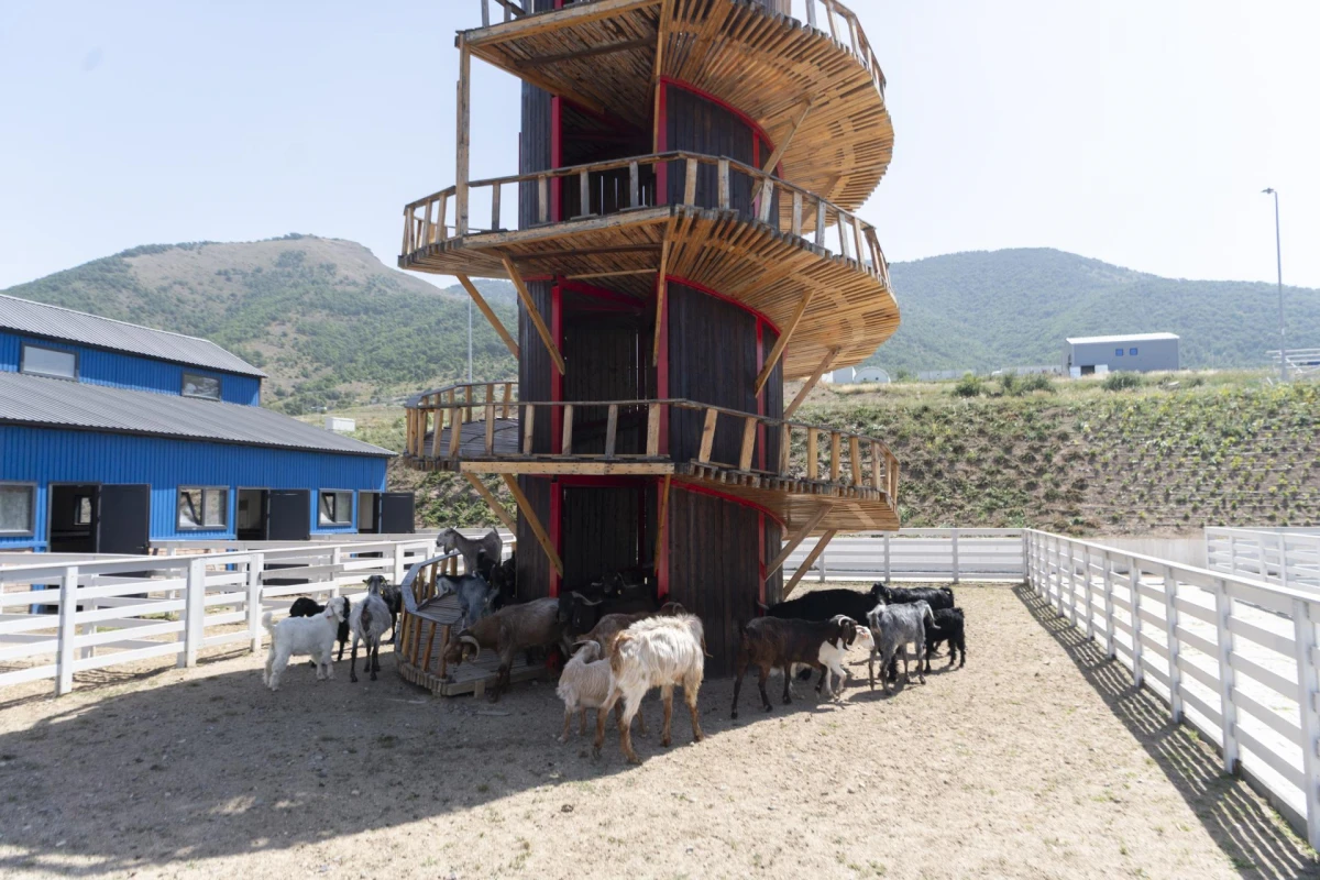Məcnun Məmmədov Laçında təsərrüfatlara baş çəkdi — 6