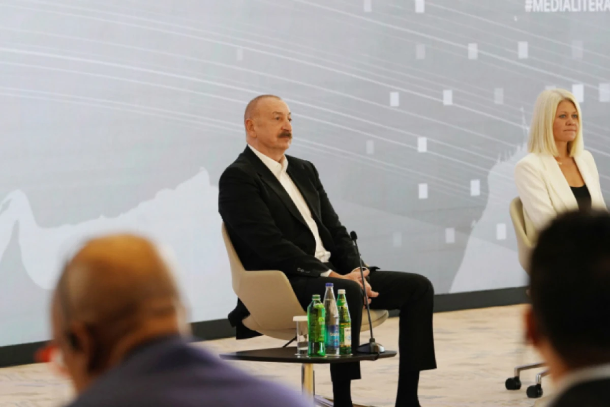 Prezident: "Azərbaycan vətəndaşı Naxçıvana gedərkən erməni sərhədçinin üzünü görməli deyil"