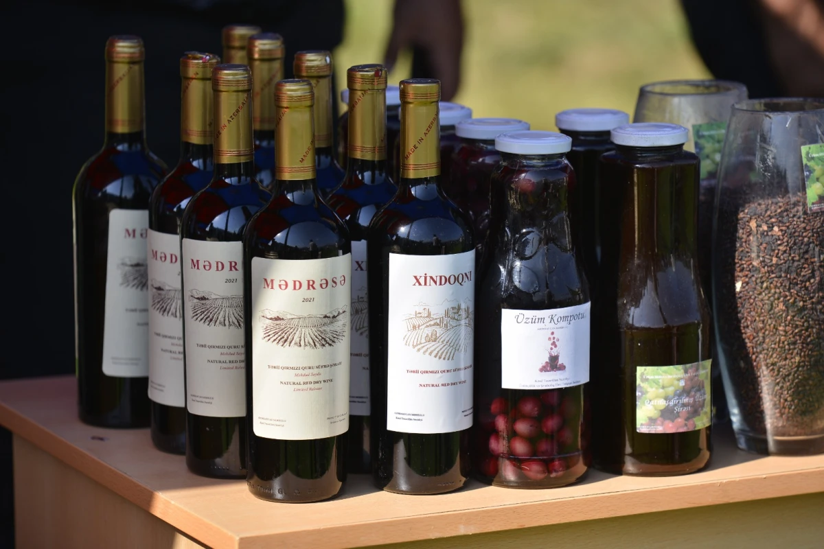 Daşkəsəndə “Aqrar Biznes” və “Kənd təsərrüfatı məhsulları” festivalı keçirildi — 4