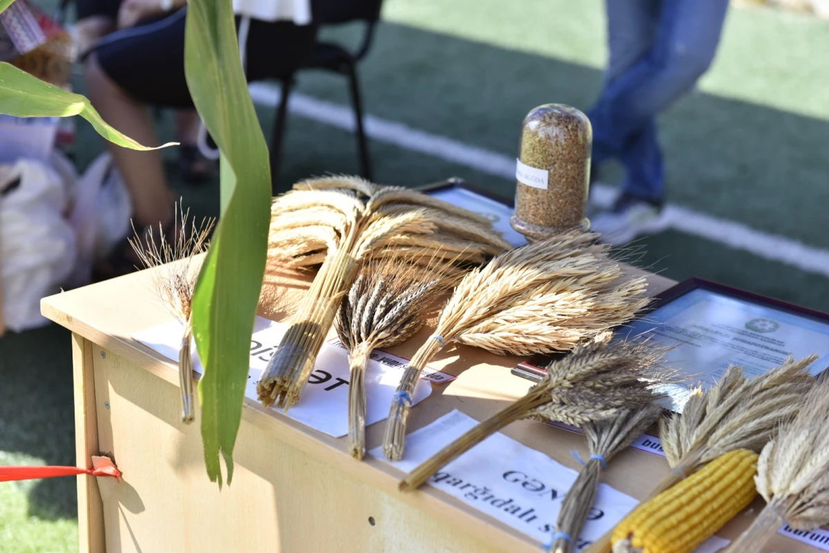 Daşkəsəndə “Aqrar Biznes” və “Kənd təsərrüfatı məhsulları” festivalı keçirildi — 7