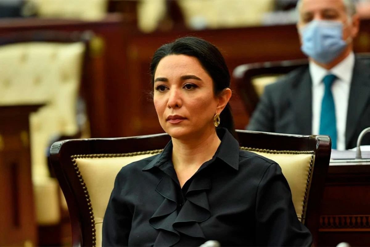 Ombudsmanın təşəbbüsü ilə xüsusi maarifləndirici vəsait hazırlandı