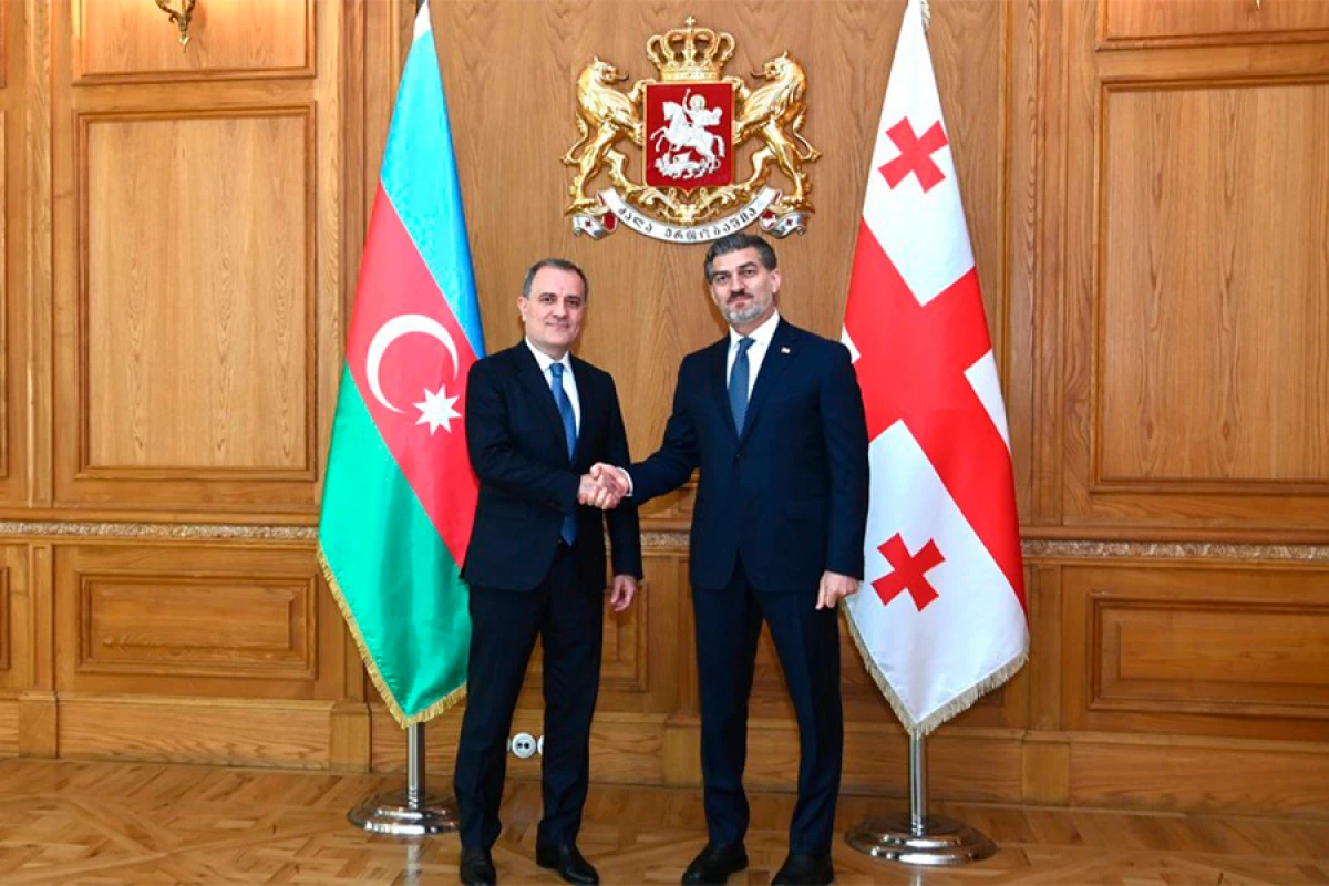 Ceyhun Bayramov Gürcüstan Prezidenti ilə görüşdü