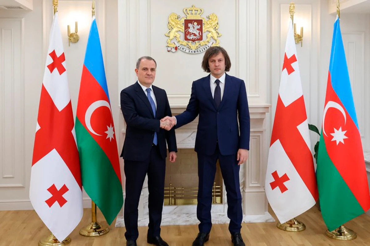Kobaxidze Ceyhun Bayramovu qəbul etdi - FOTO