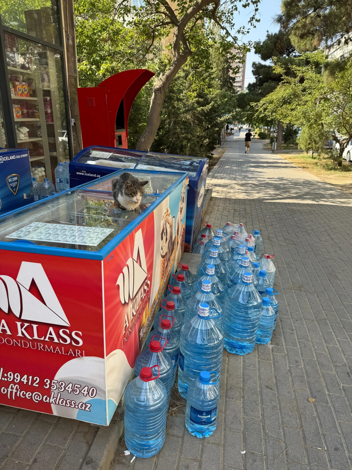 Bakıda ticarət və satış şəbəkələrində monitorinqlər keçirilir — 3