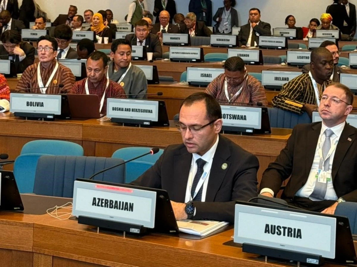 Məcnun Məmmədov BMT-nin Qida Sistemləri üzrə II Sammitində çıxış etdi — 8