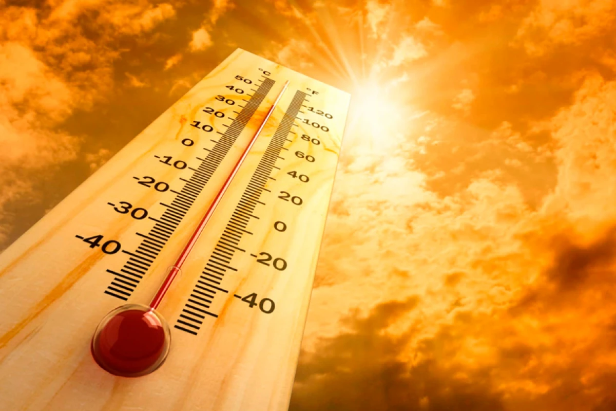 Avqustun hava proqnozu