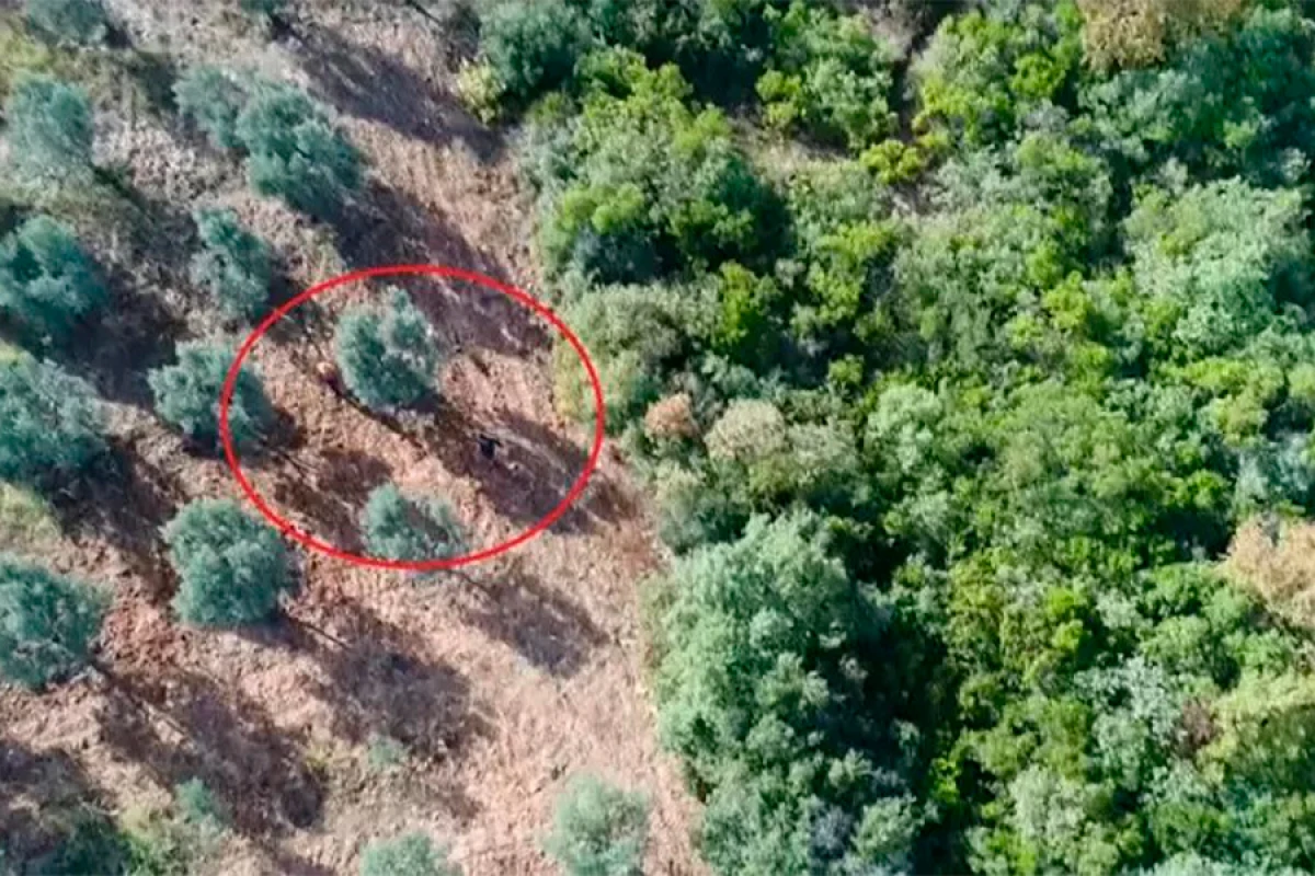 Meşə yanğını törədənlər drondan qaça bilmədilər