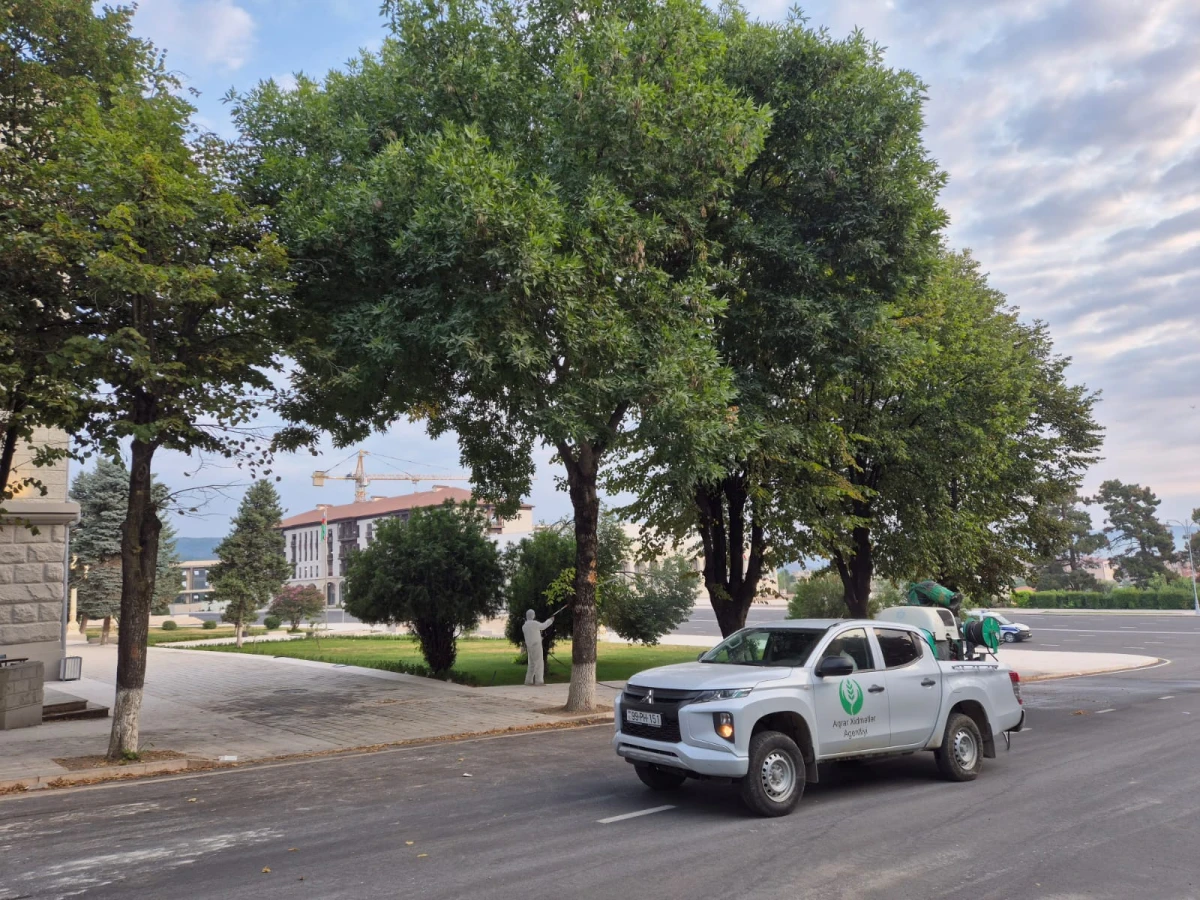 Zərərli orqanizmlərə qarşı fitosanitar tədbirlər həyata keçirildi — 1