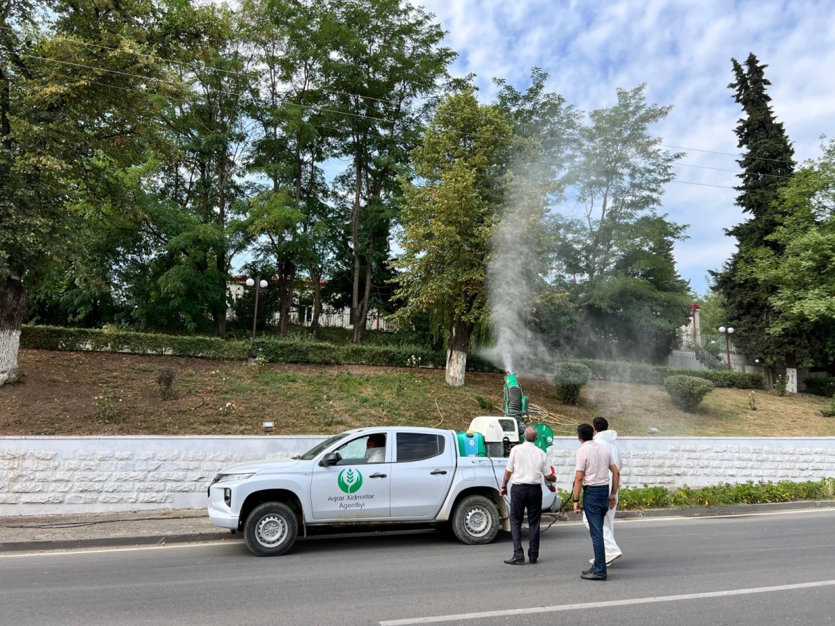 Zərərli orqanizmlərə qarşı fitosanitar tədbirlər həyata keçirildi — 5