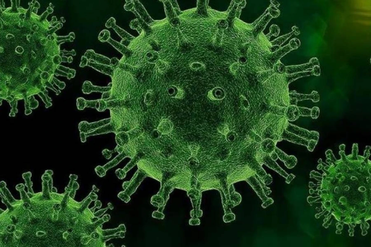 Çində "chikungunya" virusuna yoluxma halları 7 mini keçdi