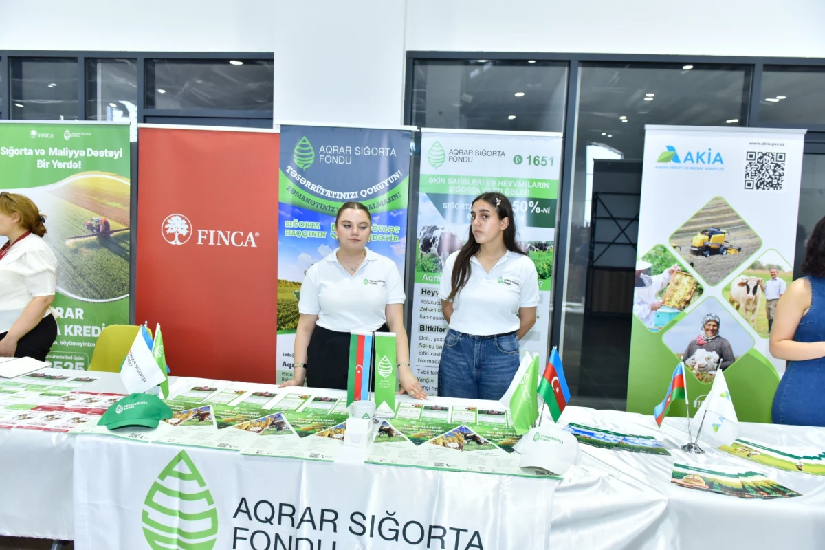 Xaçmazda Aqrar Biznes Festivalı və Şaftalı Festivalı keçirildi — 1