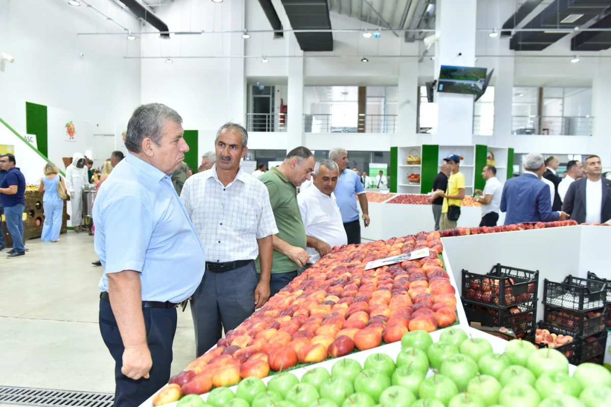 Xaçmazda Aqrar Biznes Festivalı və Şaftalı Festivalı keçirildi — 5