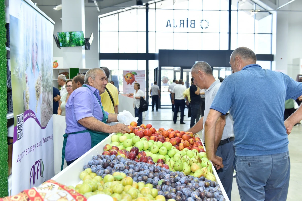 Xaçmazda Aqrar Biznes Festivalı və Şaftalı Festivalı keçirildi — 8