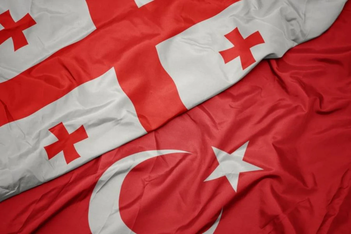 Gürcüstan Prezidenti Türkiyəyə səfər edəcək