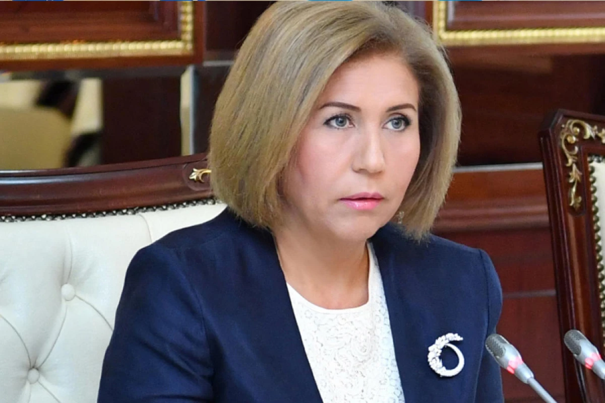 Zəfərdən sülhə: Azərbaycanın strateji irəliləyişi və yeni regional reallıq - Bahar Muradova YAZIR — 1