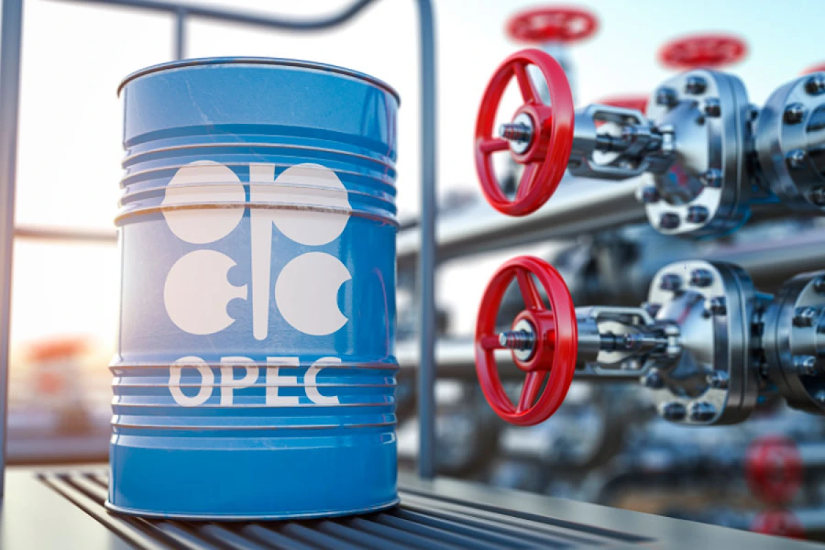 OPEC gələn il üçün qlobal neft tələbatı üzrə proqnozunu artırdı