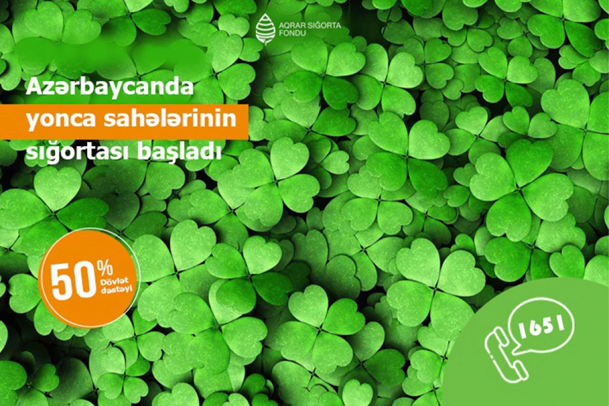 Yonca sahələrinin sığortalanması prosesinə start verildi
