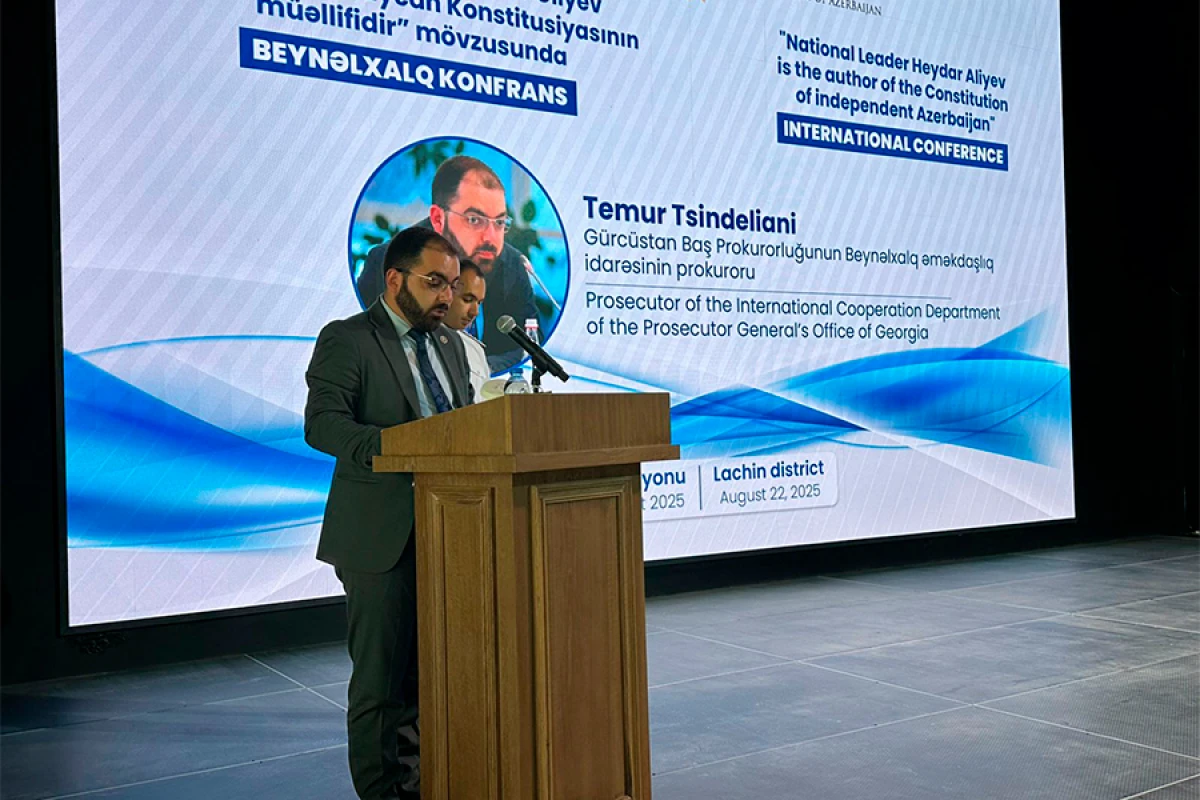 Temur Tsindeliani: "Konstitusiya millət olaraq kim olduğumuzu müəyyən edən ali qanundur"