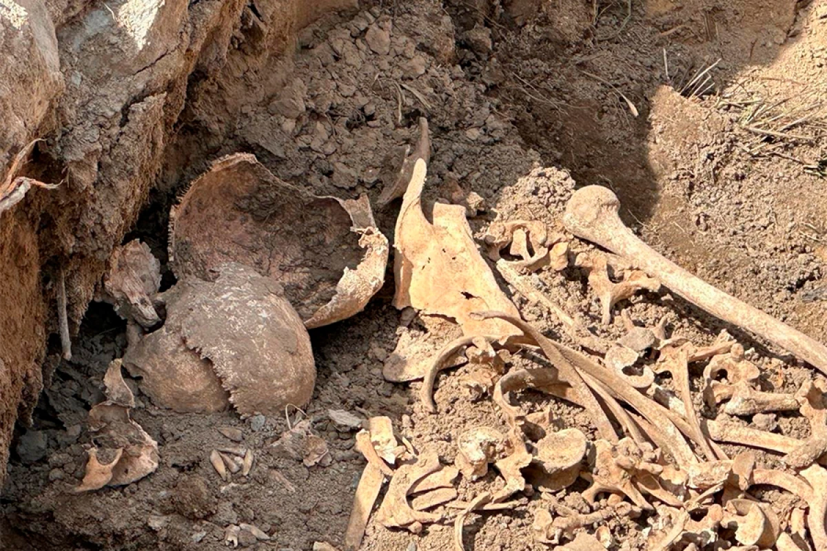 Ağdərədə insan sümüyü fraqmentləri aşkarlandı