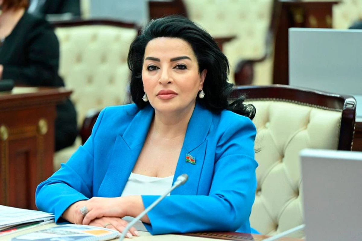 Müasir Azərbaycanın “Mehriban dost” zirvəsi – Deputat yazır... — 1