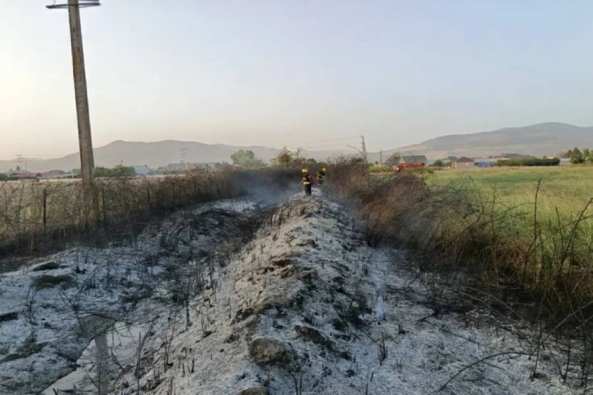 Qəsdən yanğıntörətmə faktının üstü açıldı