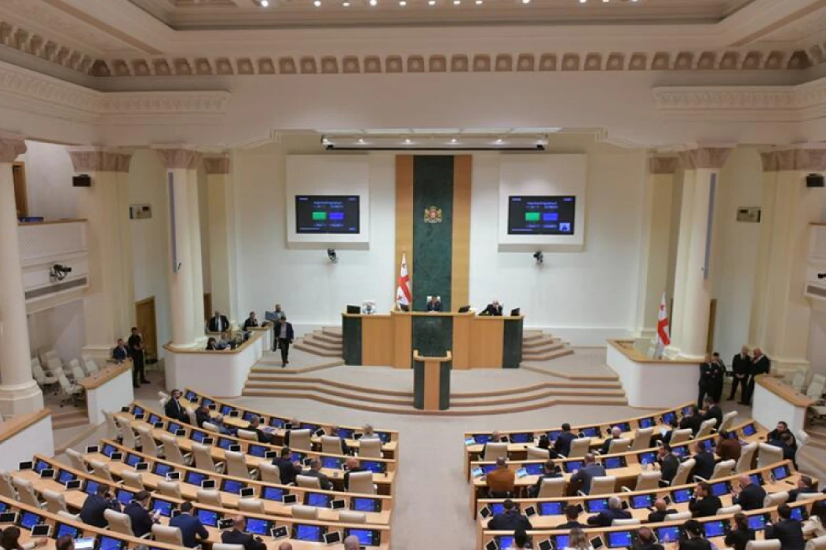 Gürcüstanda əsas müxalifət partiyası ilə bağlı xüsusi qətnamə qəbul edildi