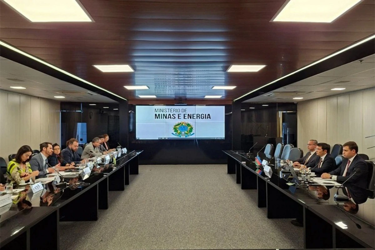 Azərbaycan Braziliya ilə bir sıra sahələrdə əməkdaşlıq edə bilər