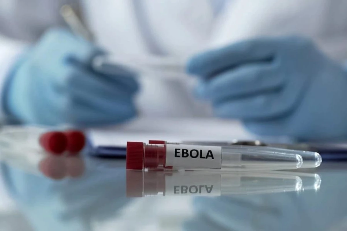 Ebola virusu yenidən yayılır