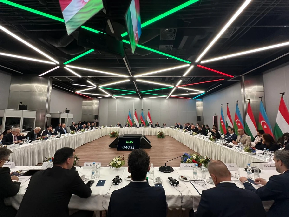 Azərbaycan və Macarıstan arasında Birgə Komissiyanın iclası keçirildi — 1