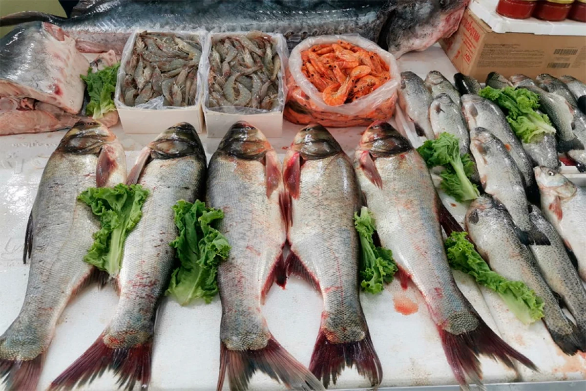 Bakıda balıq yarmarkası fəaliyyətə başladı