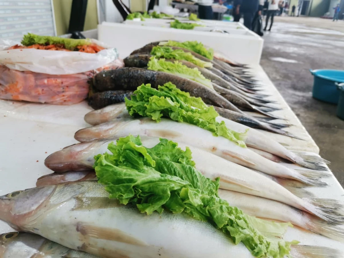 Bakıda balıq yarmarkası fəaliyyətə başladı — 1