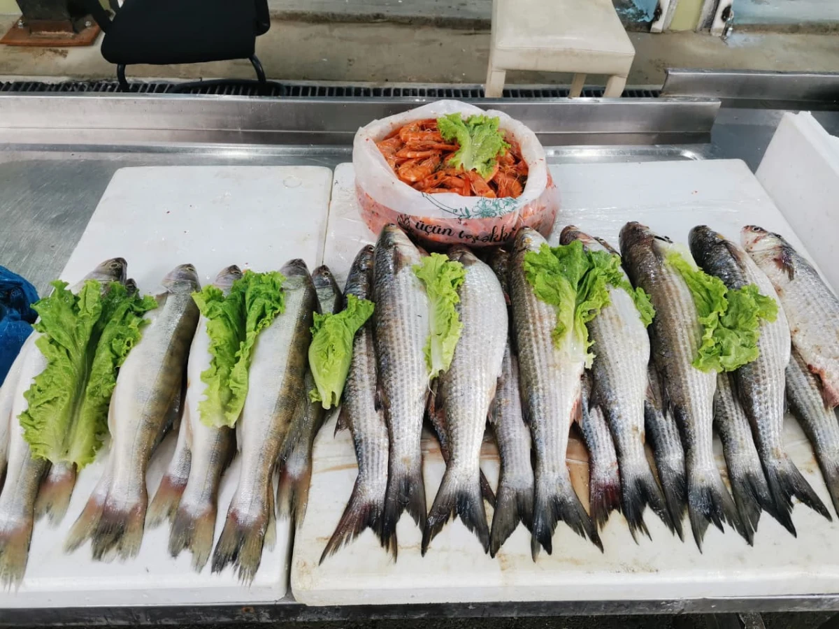 Bakıda balıq yarmarkası fəaliyyətə başladı — 5