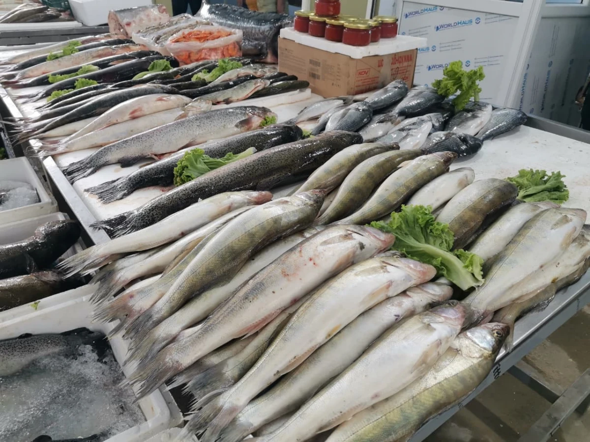 Bakıda balıq yarmarkası fəaliyyətə başladı — 7
