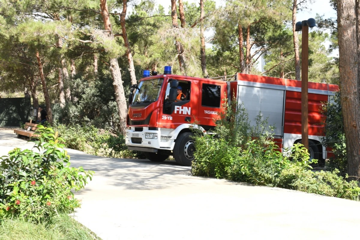 Mərkəzi Nəbatat Bağında təlim keçirildi — 1