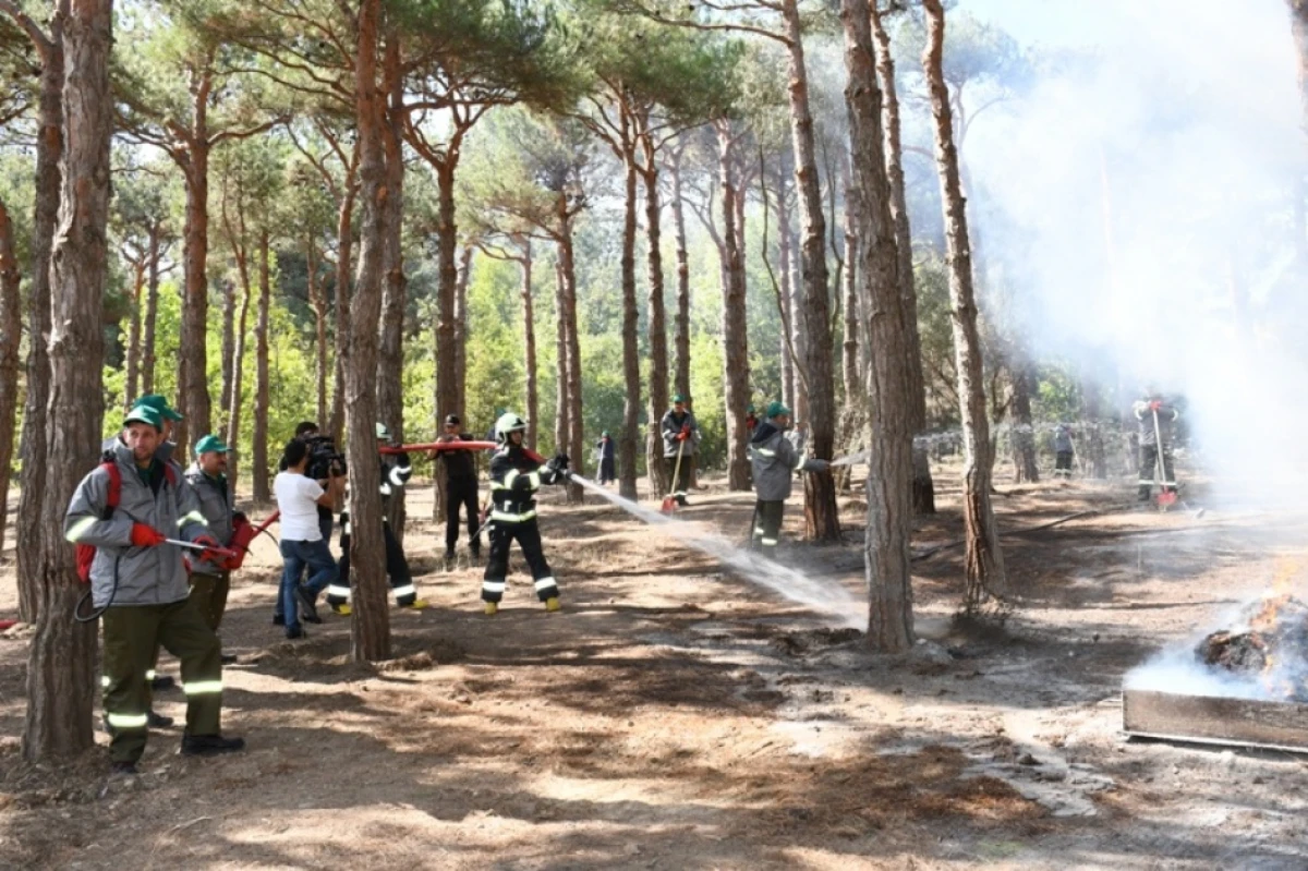 Mərkəzi Nəbatat Bağında təlim keçirildi — 3