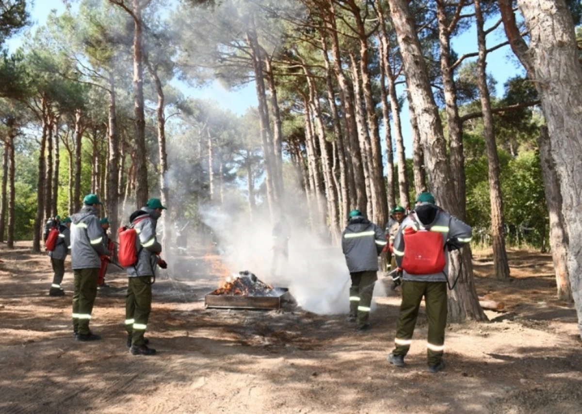 Mərkəzi Nəbatat Bağında təlim keçirildi — 4