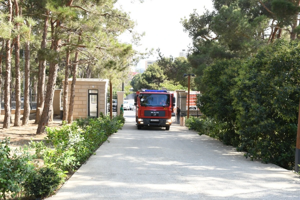 Mərkəzi Nəbatat Bağında təlim keçirildi — 8