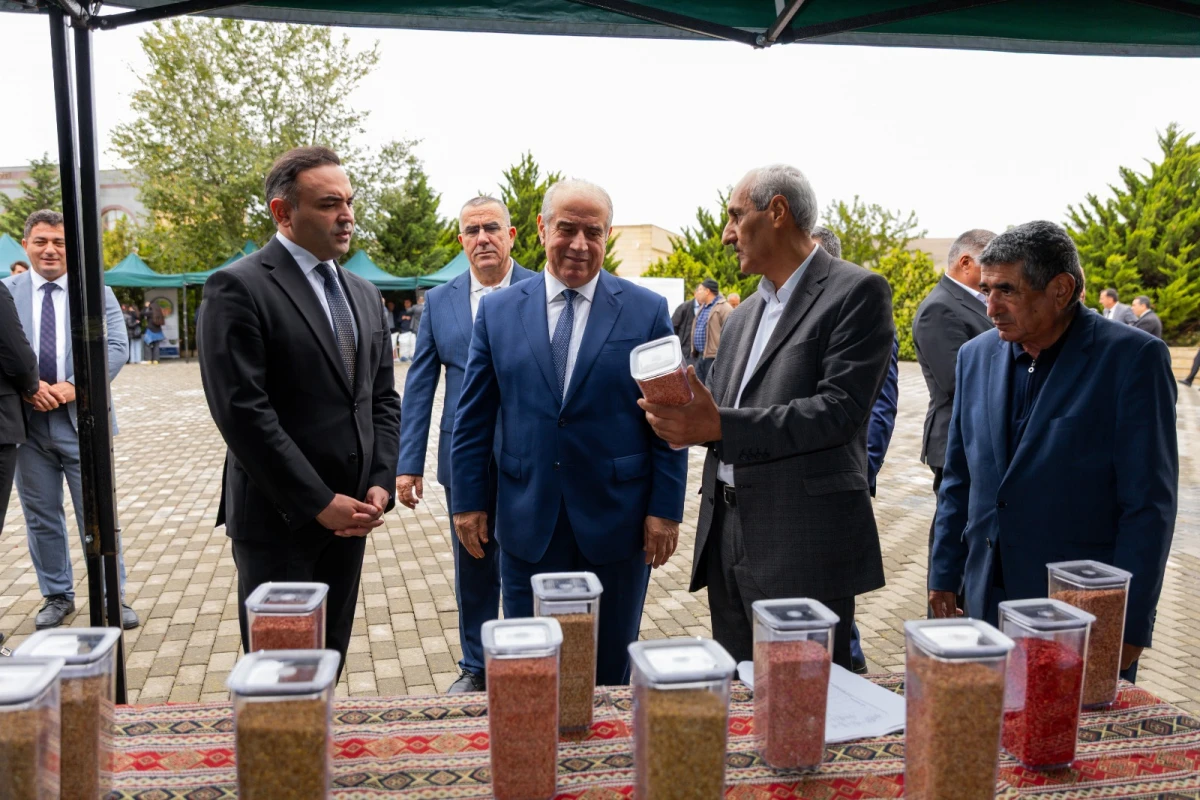 Qobustanda Aqrar Biznes Festivalı və toxum sərgi-satış yarmarkası keçirildi — 2