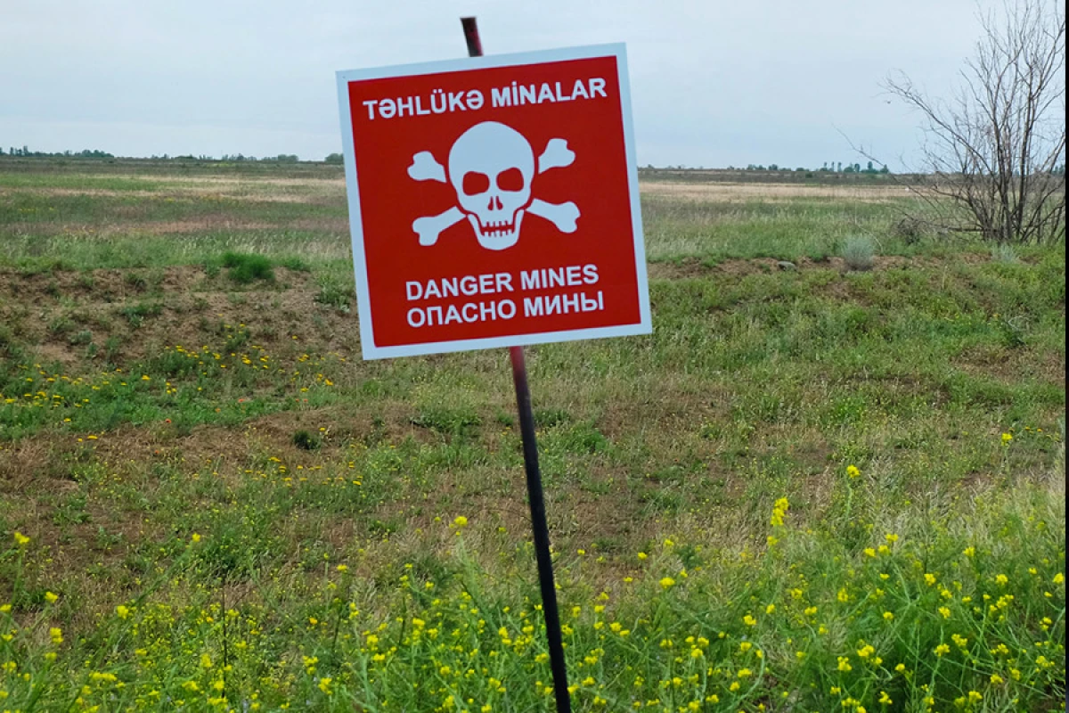 Ötən həftə 1130,6 ha ərazi minalardan təmizlənib