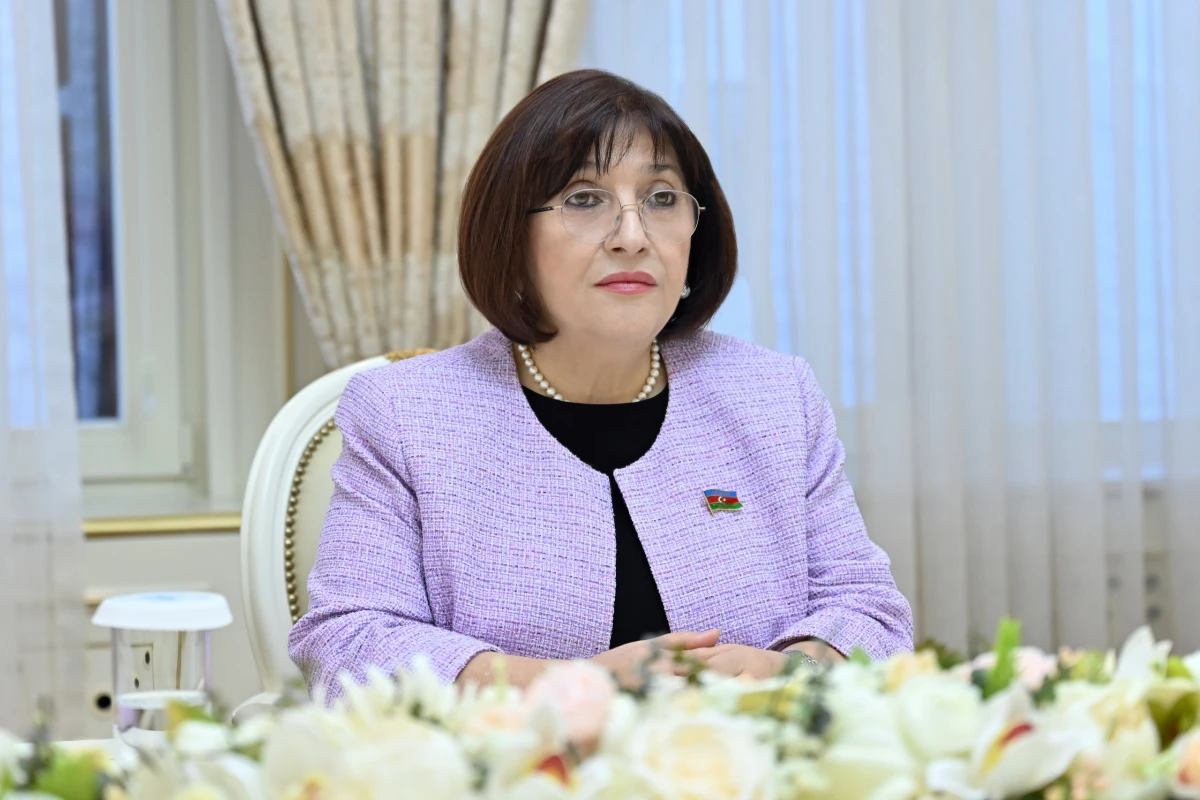 Sahibə Qafarova Polşa səfiri ilə görüşdü — 1