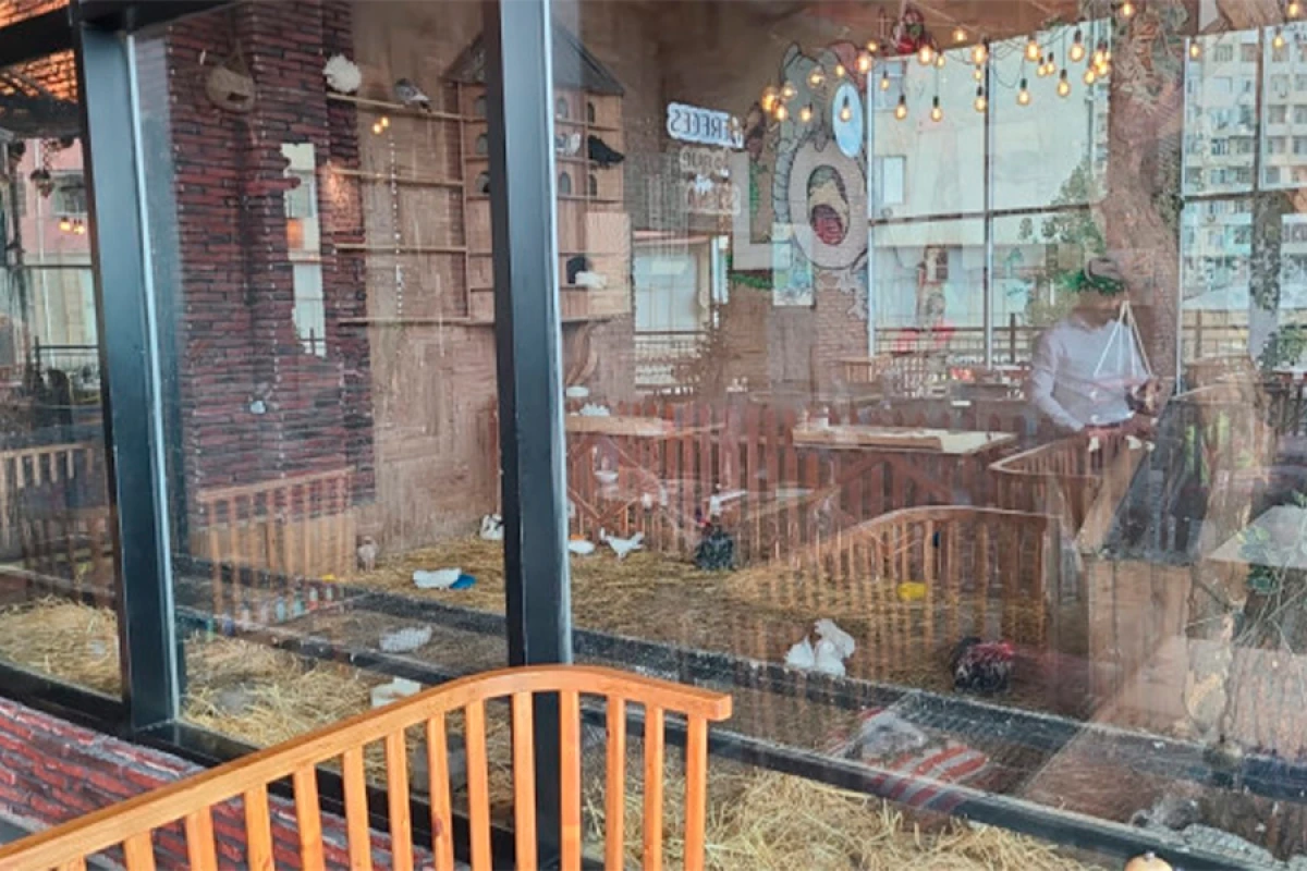Vəhşi heyvanların qanunsuz saxlanıldığı restorana xəbərdarlıq edildi