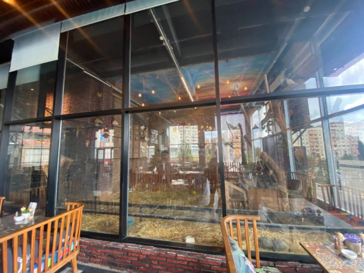 Vəhşi heyvanların qanunsuz saxlanıldığı restorana xəbərdarlıq edildi — 1