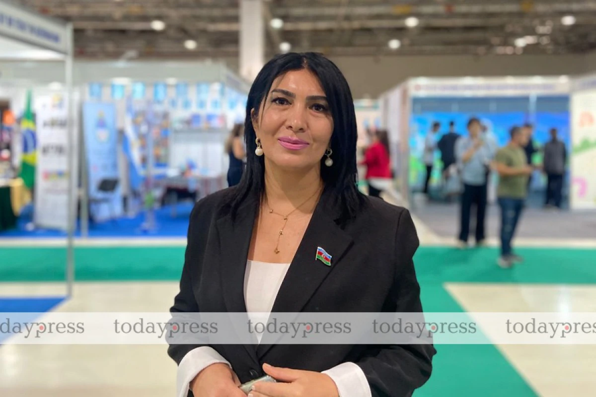 Millət vəkili: “Kitab auditoriyamız çox zəifdir”