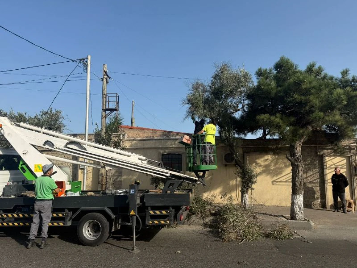 Paytaxtda növbəti təmizlik işləri aparıldı — 5
