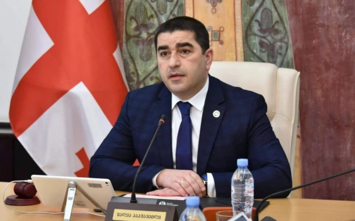 Gürcüstan parlamentinin sədri Aİ liderlərinin bəyanatına cavab verdi