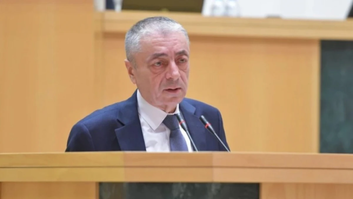 Gürcüstanda küçə aksiyalarına hüquqi məhdudiyyətlər tətbiq olunacaq